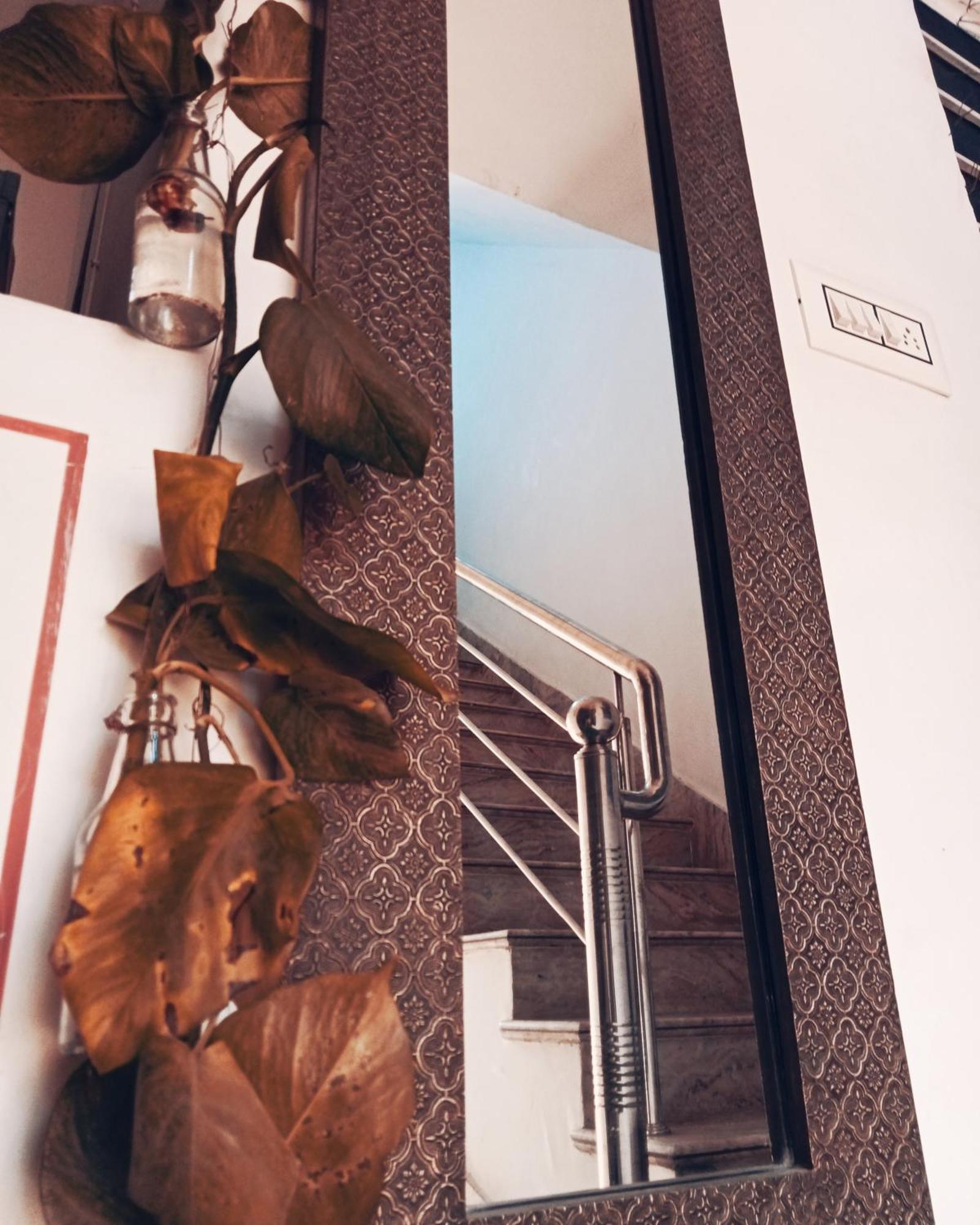Cocoon Auberge Dzsaipur Kültér fotó
